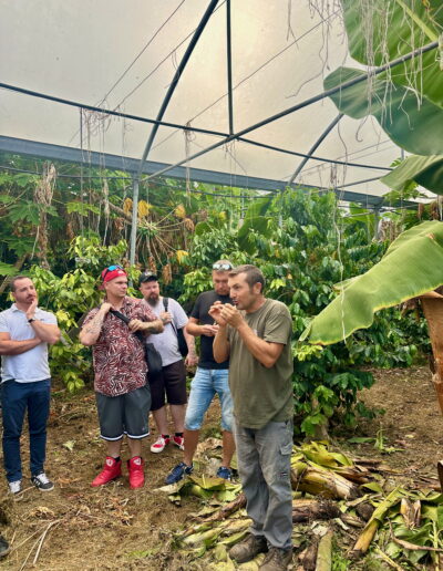 Rosolino explains something about how to grow tropical fruits, four people are looking at him, under a greenhouse and surrounded by tropical trees.